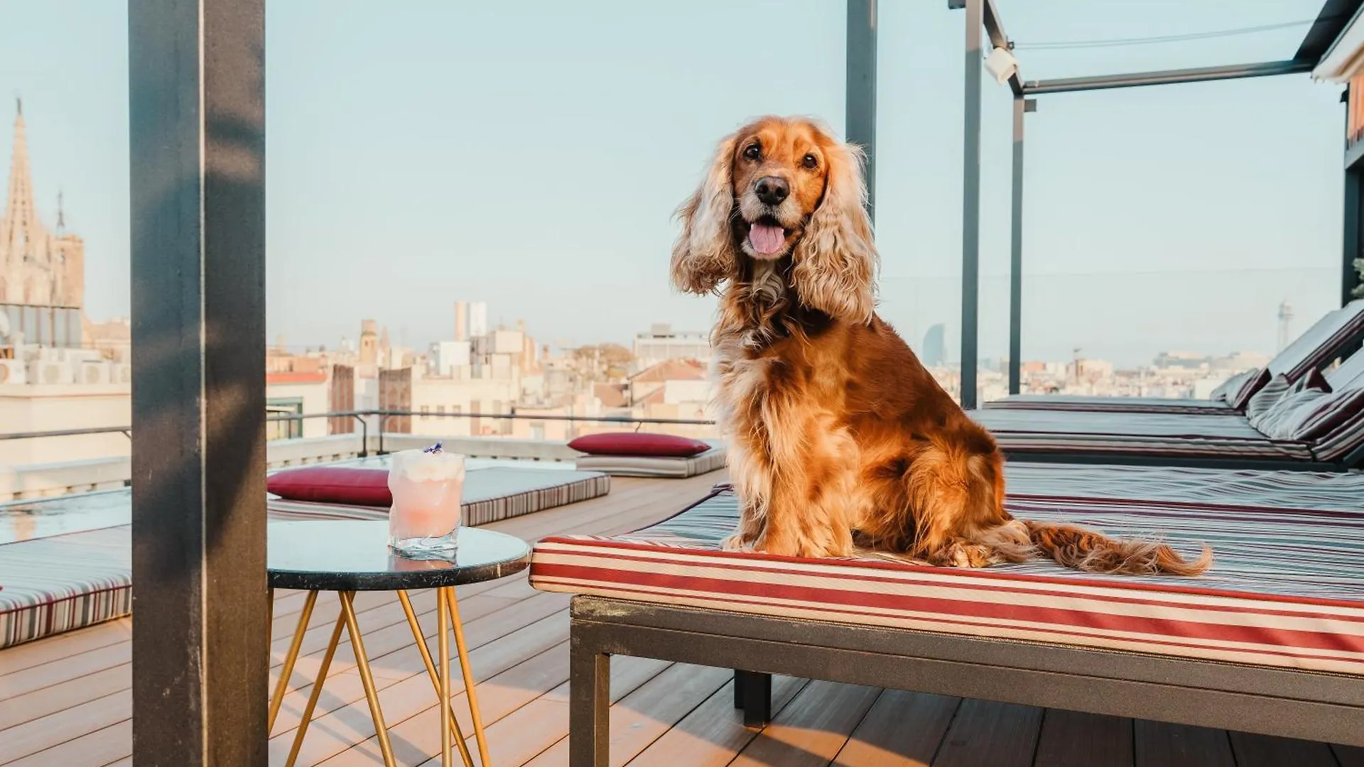 Kimpton Vividora Hotel By Ihg Barcelona Spain